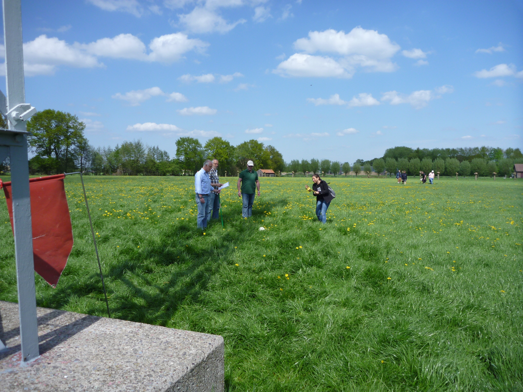 2013 HWK019.jpg